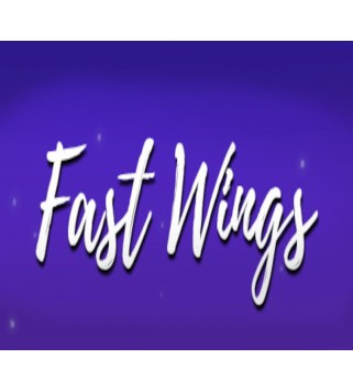 Fast Wings Steam Key GLOBAL
